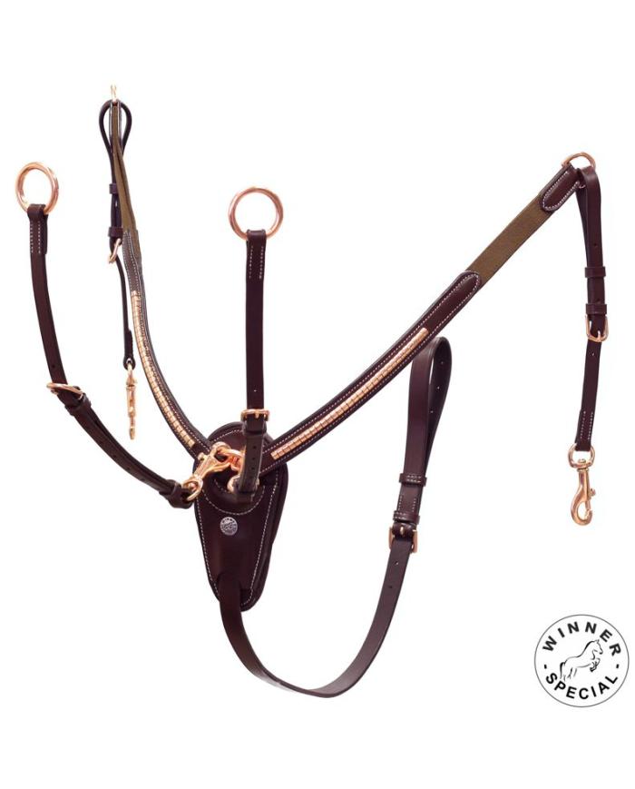 PETTORALE_CLINCHER_ORO_ROSA_IN_C_1704886765_0.png