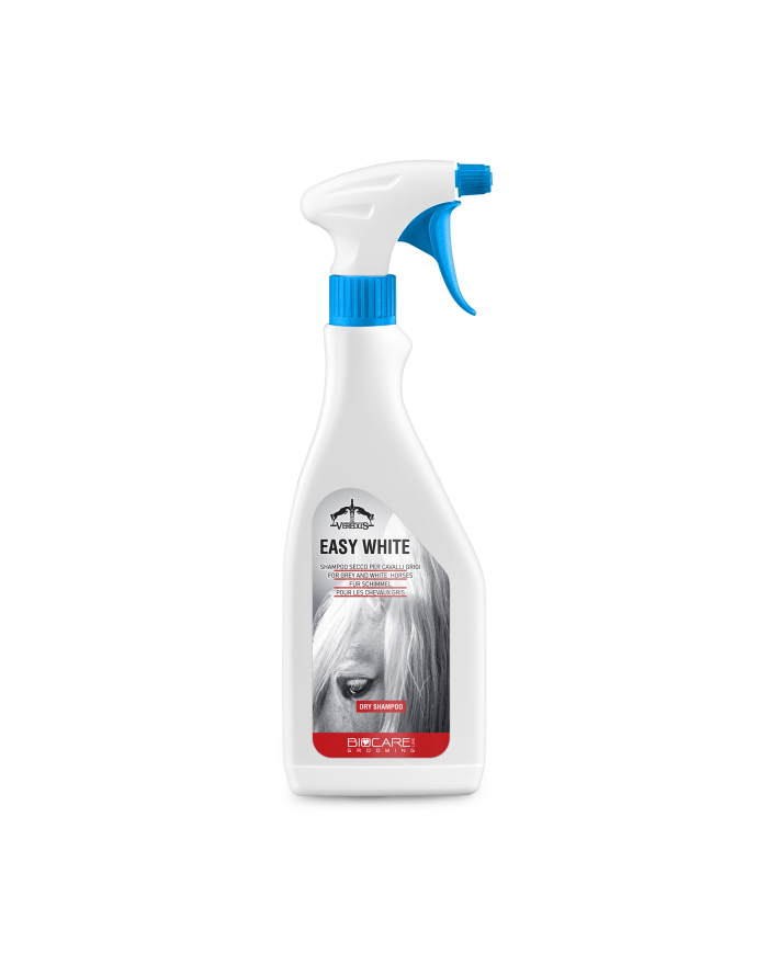 EASY_WHITE_500_1698078625_0.png