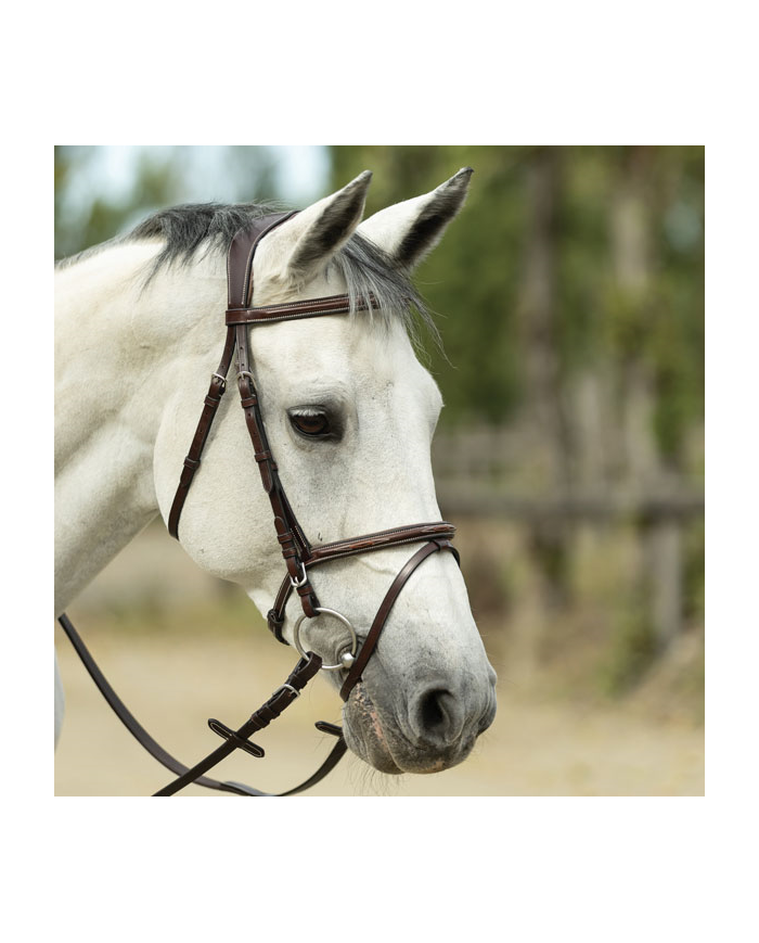 BRIGLIA_OXER_120_NP_c_redini_1705668796_0.png