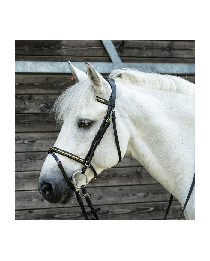 BRIGLIA_CLINCHER_OTTONE_C_REDINI_1705665570_0.png
