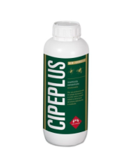 CIPEPPLUS_1_lt._1714845153_0.png
