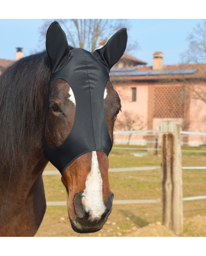 MASCHERA_ANTIMOSCHE_INTERAMENTE__1704879040_0.png