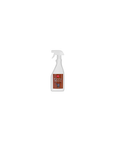 SAPONE_SPRAY_500ml._1708442251_0.png