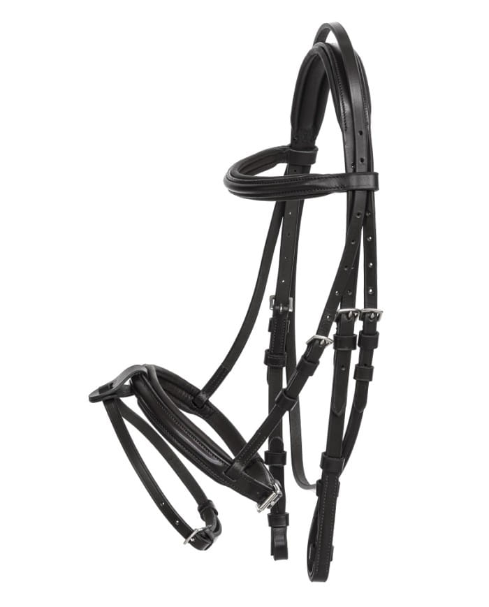 TESTIERA_CLASSICA_PONY_1709375695_0.jpg