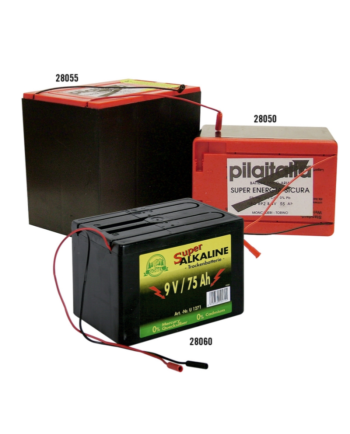 PILA_PER_ELETTRIFICATORE_5000_or_1709657229_0.png