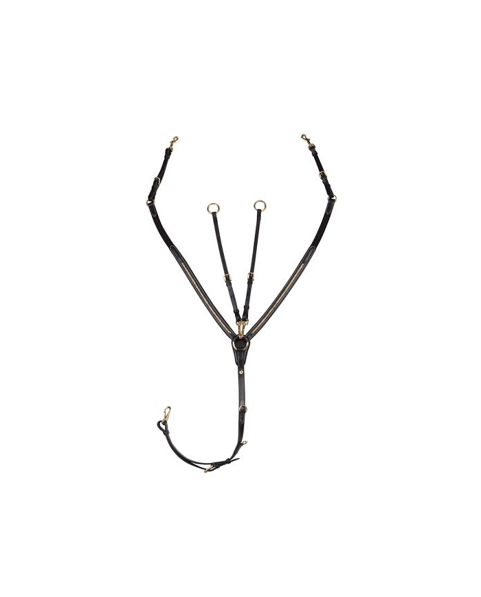 PETTORALE_CLINCHER_OTT._1686044706_0.png