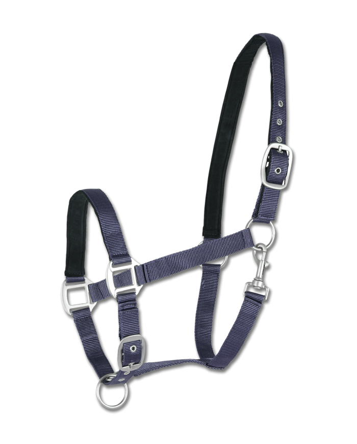 CAPEZZA_SATIN_1718644274_0.png