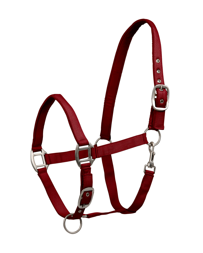 CAPEZZA_SATIN_1718644282_1.png