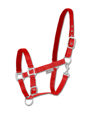 CAPEZZA_SATIN_1718644292_2.png