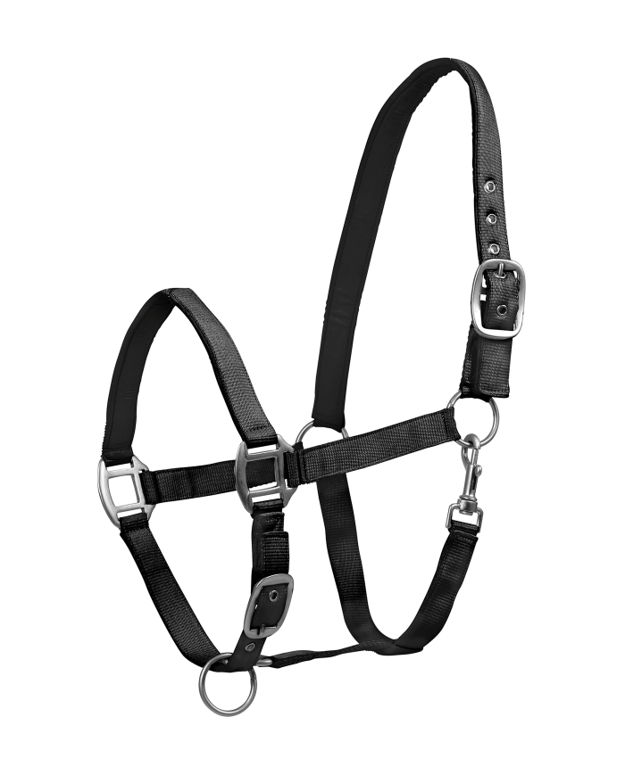 CAPEZZA_SATIN_1718644309_4.png