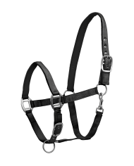 CAPEZZA_SATIN_1718644309_4.png
