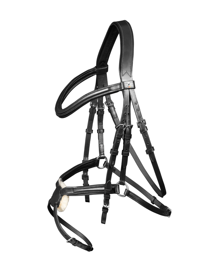 BRIGLIA_WALDHAUSEN_X-LINE_STANDA_1727520697_1.png