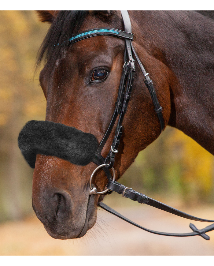 IMBOTTITURA_IN_AGNELLINO_PER_CAP_1728047080_3.png