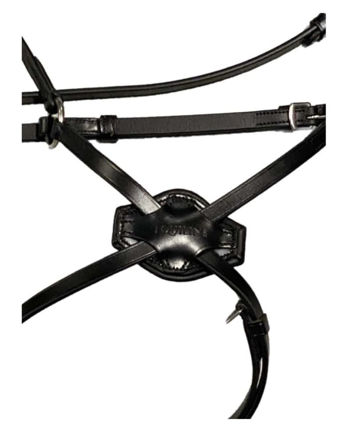 TESTIERA_MESSICANA_EQUILINE_1731599473_1.jpg