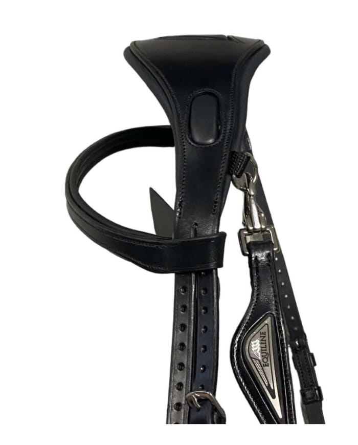 TESTIERA_MESSICANA_EQUILINE_1731599751_2.jpg
