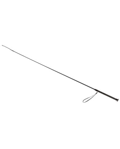 FRUSTINO_DRESSAGE_120_cm._FREIG_1733585635_0.jpg