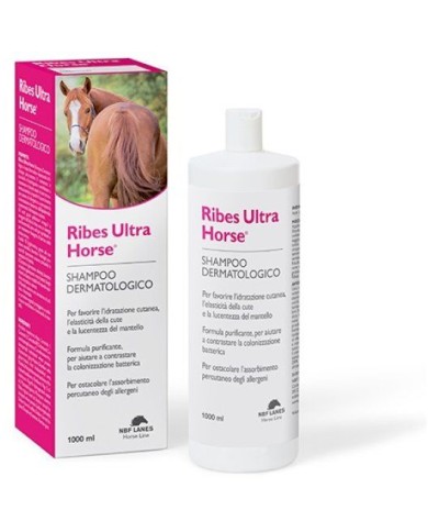 RIBES_HORSE_SHAMPOO_1751104611_0.jpg