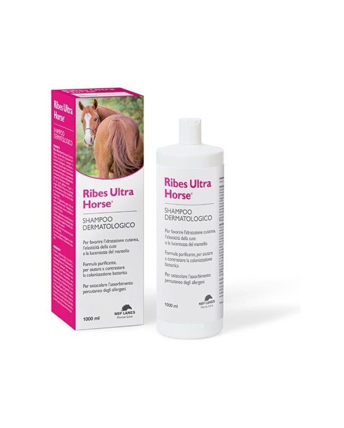 RIBES_HORSE_SHAMPOO_1751104611_0.jpg