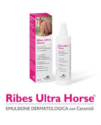RIBES_HORSE_EMULSIONE_1751105881_0.jpg