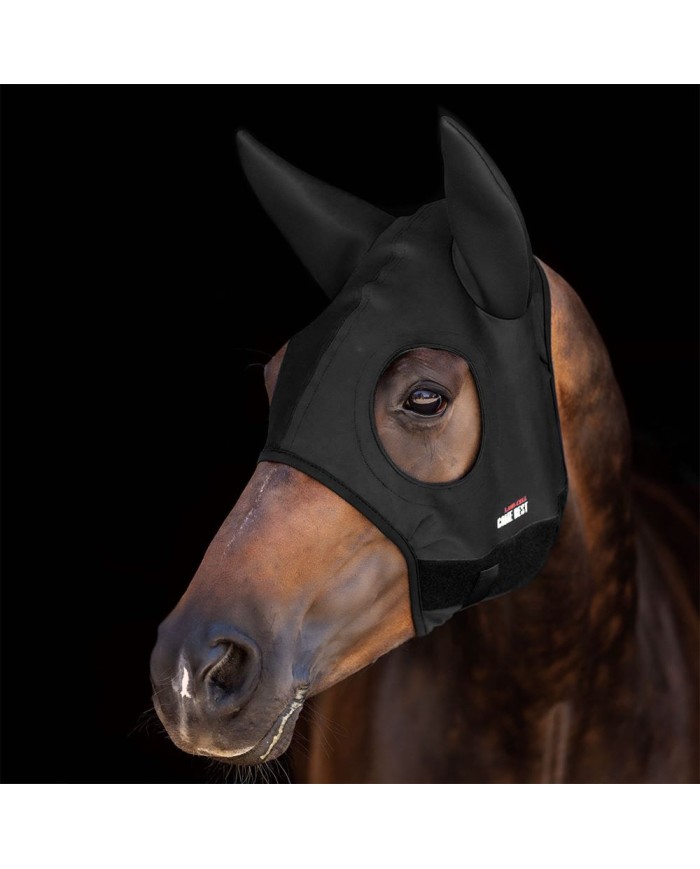MASCHERA_AL_TITANIO_CON_ORECCHIE_1763490035_0.jpg