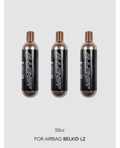 CARTUCCIA_AIRBAG_BELKID_50CC._1773838585_0.jpg