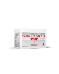 CARNITON_B12_20_BUSTE_DA_25_GR._1778353131_0.jpg