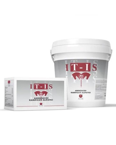 IT-IS_1778777967_0.jpg
