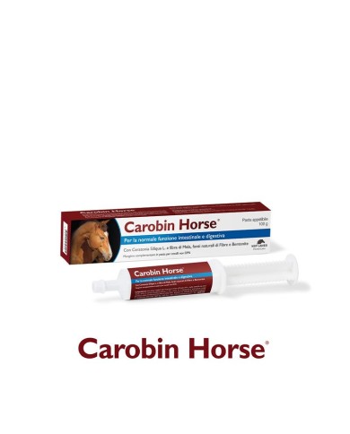 CAROBIN_HORSE_1778782713_0.jpg
