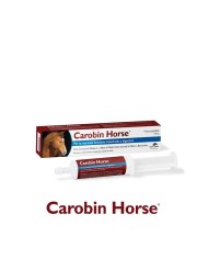 CAROBIN_HORSE_1778782713_0.jpg