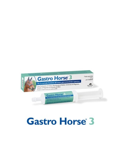 GASTRO_HORSE_3_PASTA_DA_100GR._1778783181_0.jpg