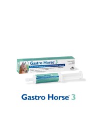 GASTRO_HORSE_3_PASTA_DA_100GR._1778783181_0.jpg