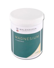 MAGNESIUM_FORTE_1_kg._1779123987_0.jpg