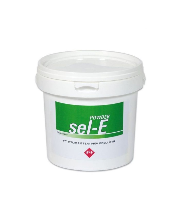 SEL-E_2KG._1779812567_0.jpg