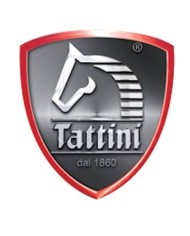 TATTINI
